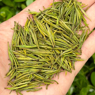 (安吉石角花香白茶)2026年明前高山白茶稠滑鲜鸡汤绿茶100克罐装