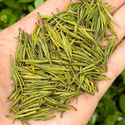 明前安吉石角花香白茶