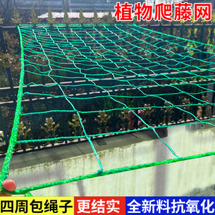 爬藤网植物网格葡萄丝瓜苦瓜瓜果百香果攀爬网农用种植网锁边加粗
