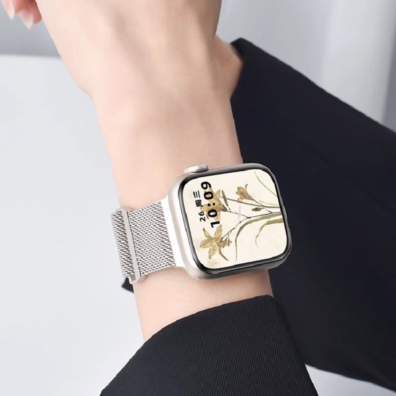 iWatch金属双节款表带图片