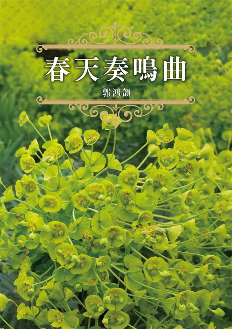 预售 正版 春天奏鸣曲  21 郭鸿韵 八正文化 进口原版