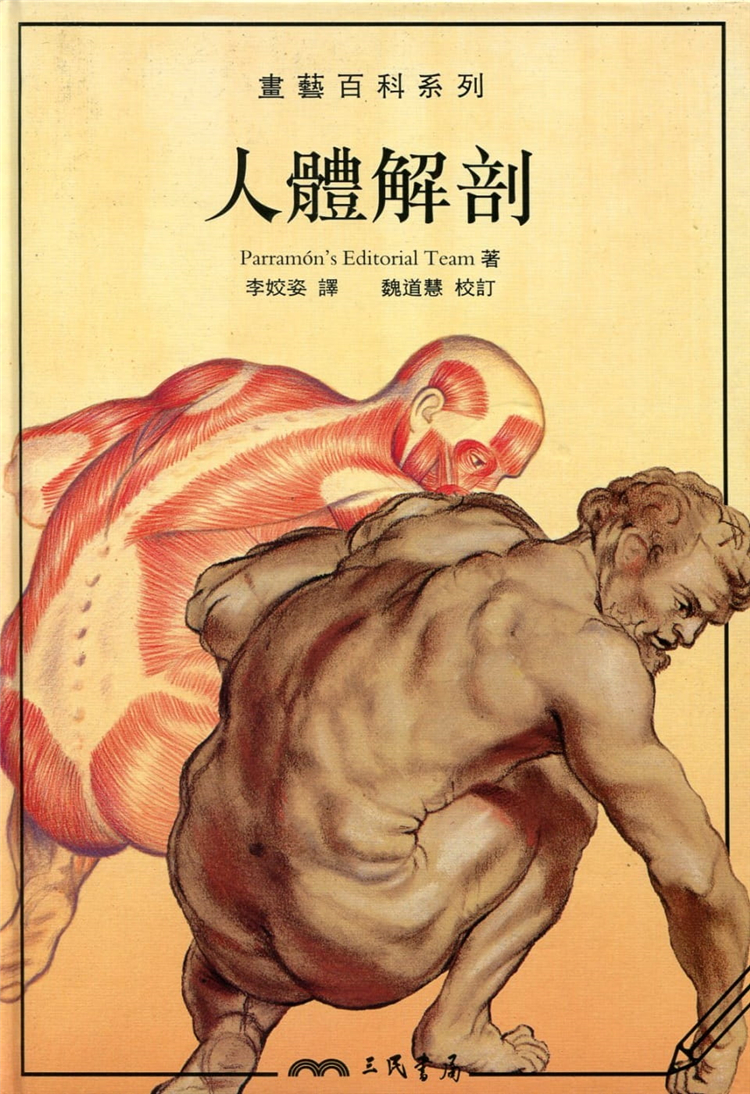 人體的頭部解剖 解剖與表情 比較解剖學