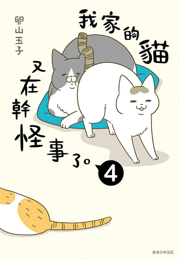 现货 我家的猫又在干怪事了  卵山玉子 人气猫咪随笔漫画 猫咪日常