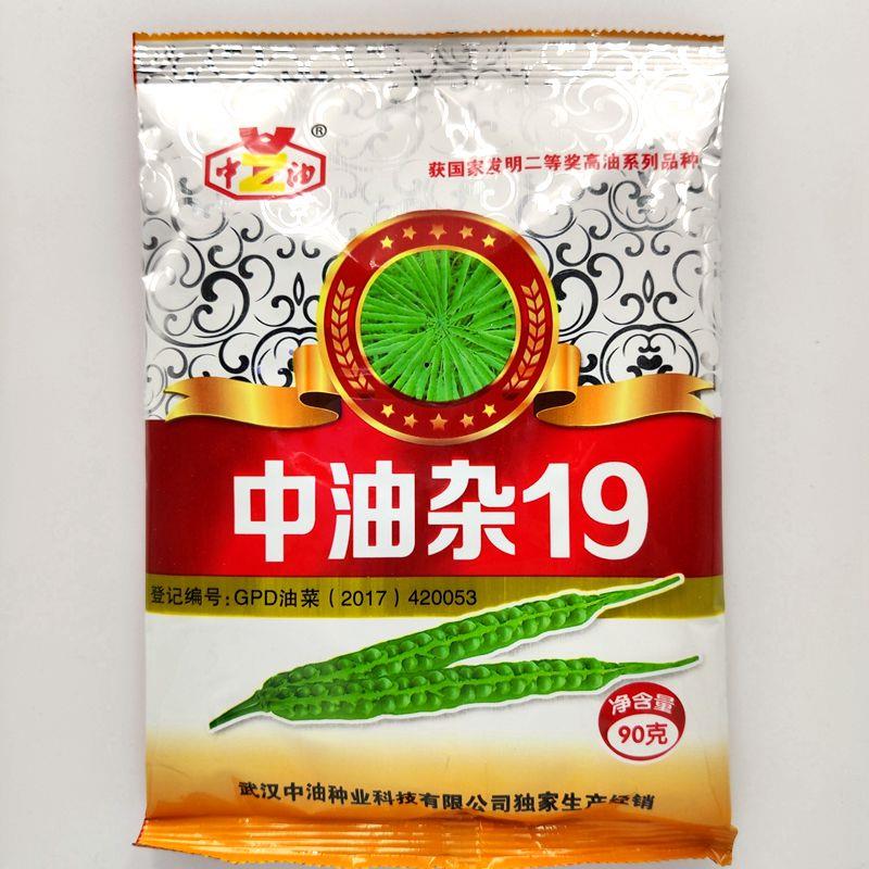 油菜种子中油杂19号中双11号油菜种籽高油高产大田专用油菜种苗孑