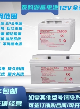 TAICO泰科源蓄电池FM/TP12V9A12A17A24A33A38A65A100AH直流屏/UPS