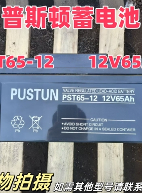 PUSTUN普斯顿蓄电池PST65-12V100AH38HA24A17A7AH120A150AH直流屏