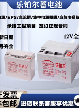 乐珀尔电池6-GFM-100AH18A20A24A33A38A55A65A7直流屏UPS/EPS主机