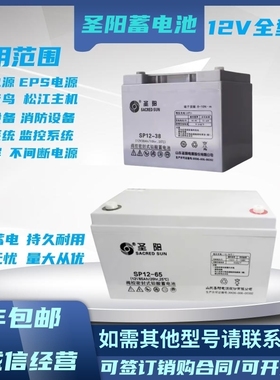 圣阳SP12-100阀控密封式铅酸蓄电池24/38/65120/12V200AH备用电源