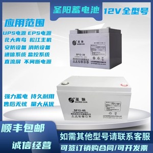 圣阳SP12-100阀控密封式铅酸蓄电池24/38/65120/12V200AH备用电源