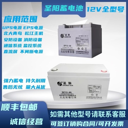 圣阳SP12-100阀控密封式铅酸蓄电池24/38/65120/12V200AH备用电源