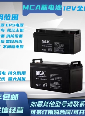 MCA蓄电池FC-12V20A24A38A65A100A应急机房基站直流屏UPS电池组