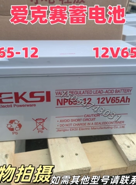 EKSI爱克赛蓄电池NP/EK65-12V17AH24A38AH65A100A120AH直流屏UPS
