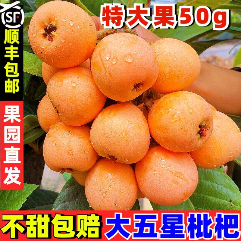 顺丰包邮 5斤特级高山大五星枇杷鲜果新鲜琵琶水果应季现摘果整箱