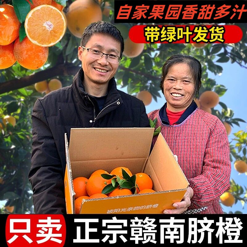 正宗赣南脐橙当季新鲜水果薄皮多汁10包邮现摘现发手剥冰糖甜橙子