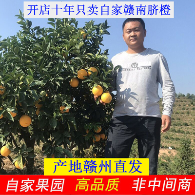 正宗江西赣南脐橙赣州新鲜现摘香甜橙子孕妇水果整箱10斤产地直供