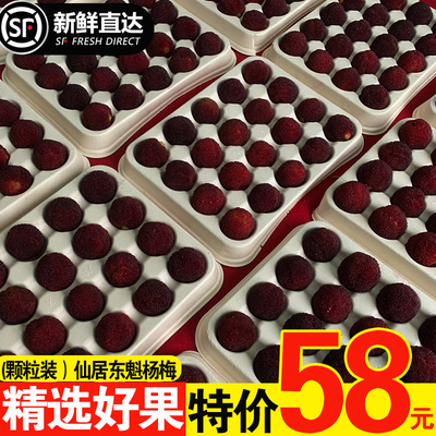 大又甜浙江仙居杨梅新鲜水果杨梅鲜果泡酒荸荠东魁杨梅颗粒装包邮