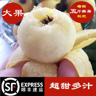 塘栖枇杷白沙枇杷5斤等枇杷甜新鲜水果白玉枇杷琵琶孕妇水果当季