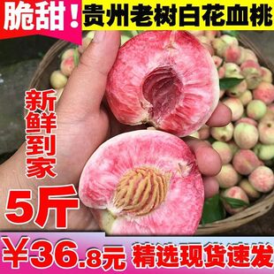 贵州新鲜血桃百花桃白花桃雪桃结桃脱核桃脆甜桃应季水果现摘现发