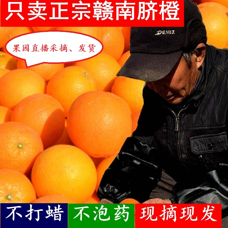 江西脐橙特级赣南橙子赣州正宗新鲜水果现摘包邮整箱产地直发当季