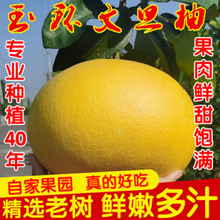 正宗玉环文旦柚子裂果孕妇当季新鲜水果整箱浙江台州楚门果农直销