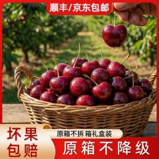 智利车厘子新鲜水果包邮5斤装礼盒整箱2j3j4j原箱进口桑提娜孕妇