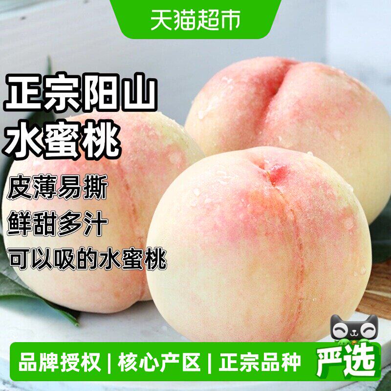 【端午礼盒】正宗阳山水