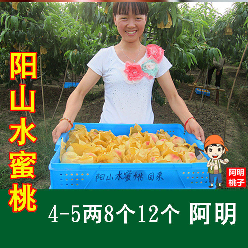 【阿明】正宗无锡阳山水