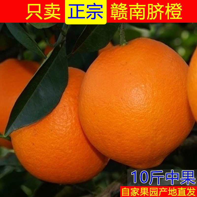 赣南脐橙正宗江西赣州寻乌橙子新鲜孕妇现当季水果现摘产地直发