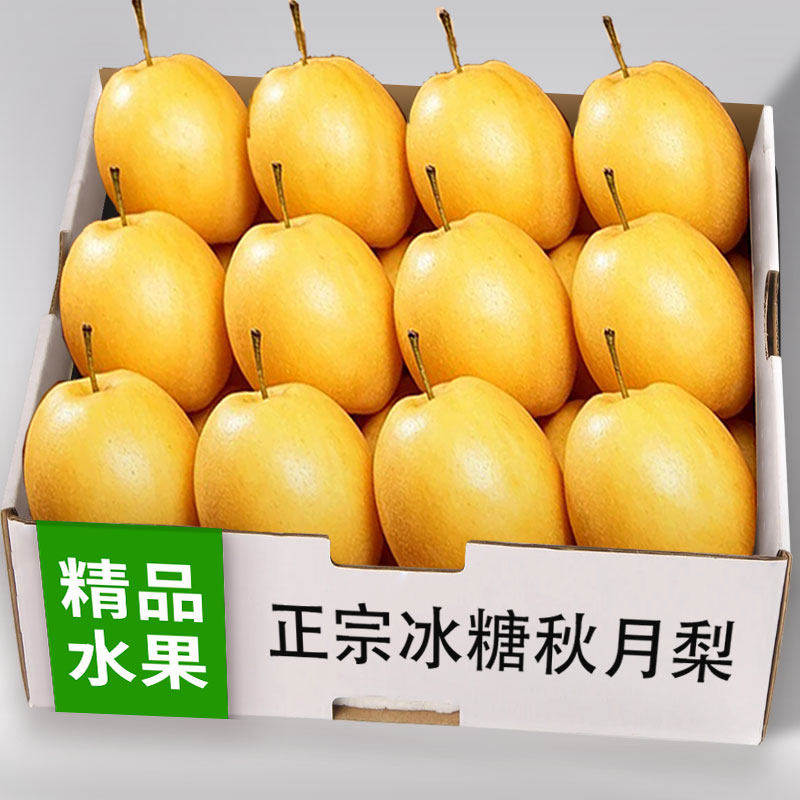 正宗秋月梨新鲜现摘冰糖