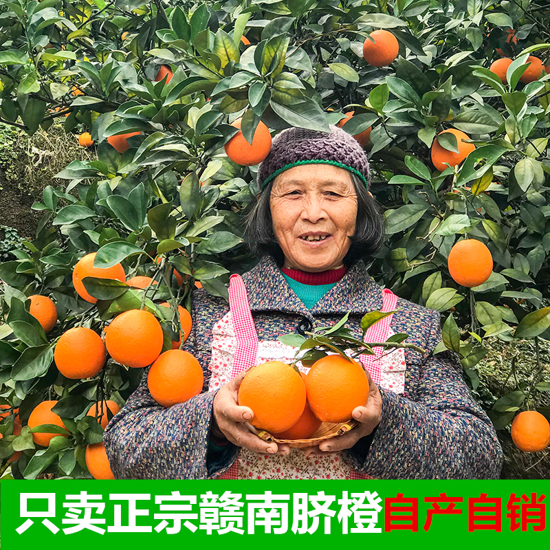 正宗赣南脐橙新鲜20斤整箱大果江西赣州橙子当季水果礼盒产地直发