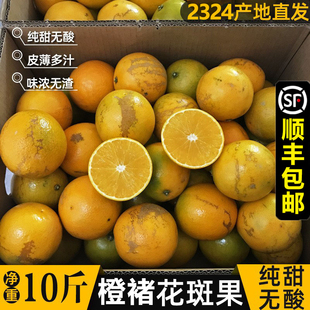 云南花斑果哀牢山冰糖橙新鲜橙子手剥甜橙花皮橙褚氏高原玉溪实建