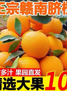 01【不甜包赔】精品果10斤装赣南脐橙原产地发货正宗新鲜橙子