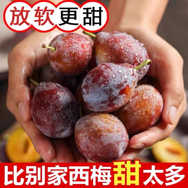 正宗西梅新鲜5斤装法兰西脆甜李子水果当季整箱应季孕妇快递包邮3