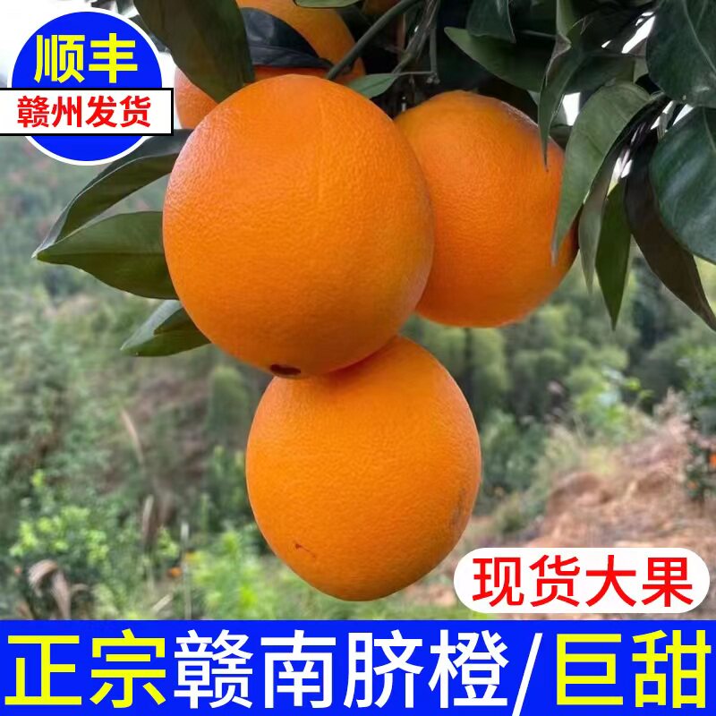 赣南脐橙正宗江西橙子10斤信丰脐橙赣州新鲜现摘产地直发孕妇水果
