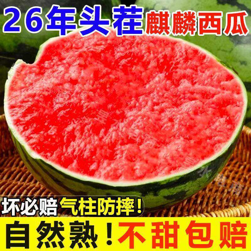正宗麒麟西瓜新鲜云南高山基地直发无籽有籽整箱现摘应季甜瓜熟瓜
