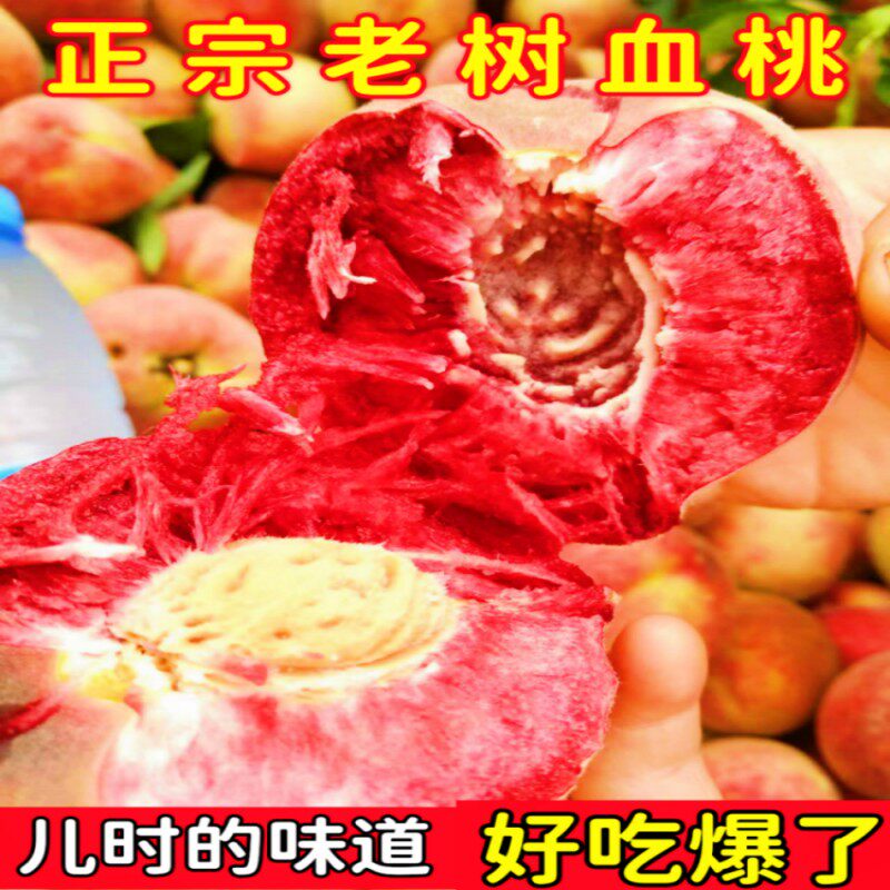 新鲜桃子产地现摘现发朱