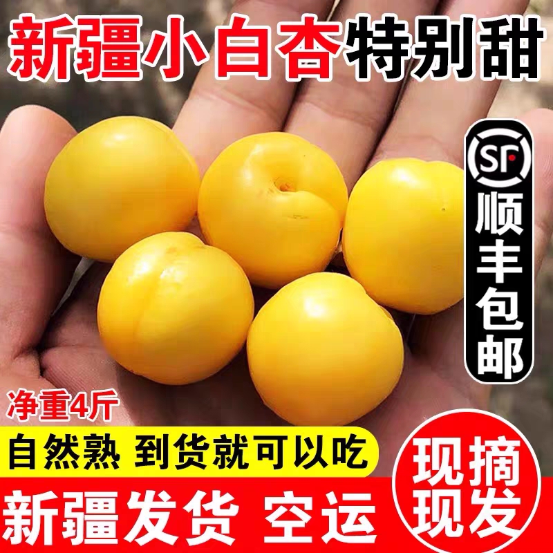 新疆特产轮台小白杏顺丰空运包邮阿克苏吊干杏新鲜水果当季甜杏子