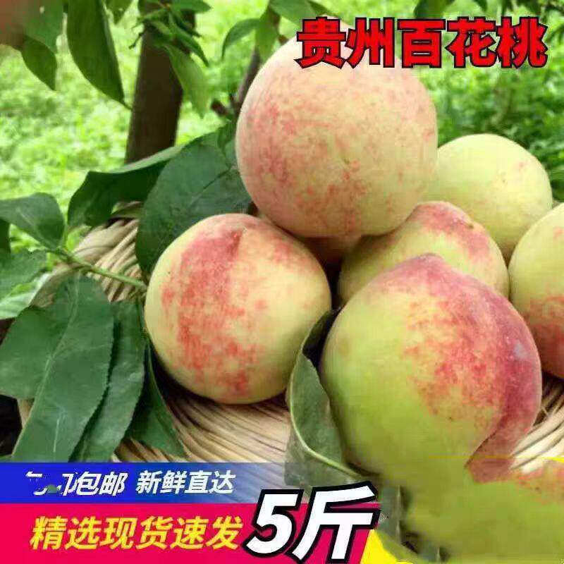 贵州高山自种百花桃脆甜