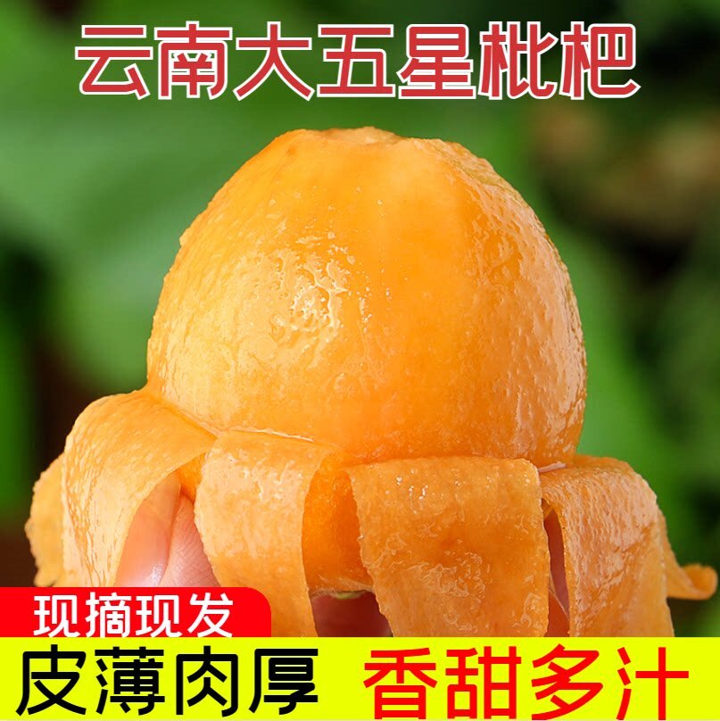云南新鲜大五星甜枇杷水果香甜大果3斤/5斤