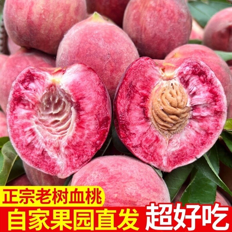 桃子新鲜血桃水蜜桃当季