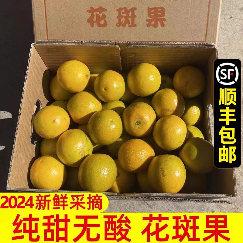纯甜花斑果云南哀牢山冰糖橙子新鲜水果10斤花皮储褚当季榨汁专用