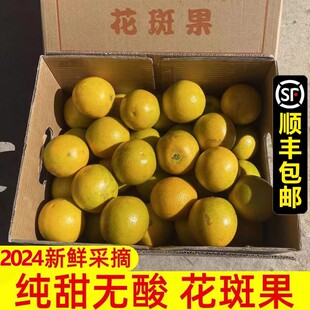 纯甜花斑果云南哀牢山冰糖橙子新鲜水果10斤花皮储褚当季榨汁专用