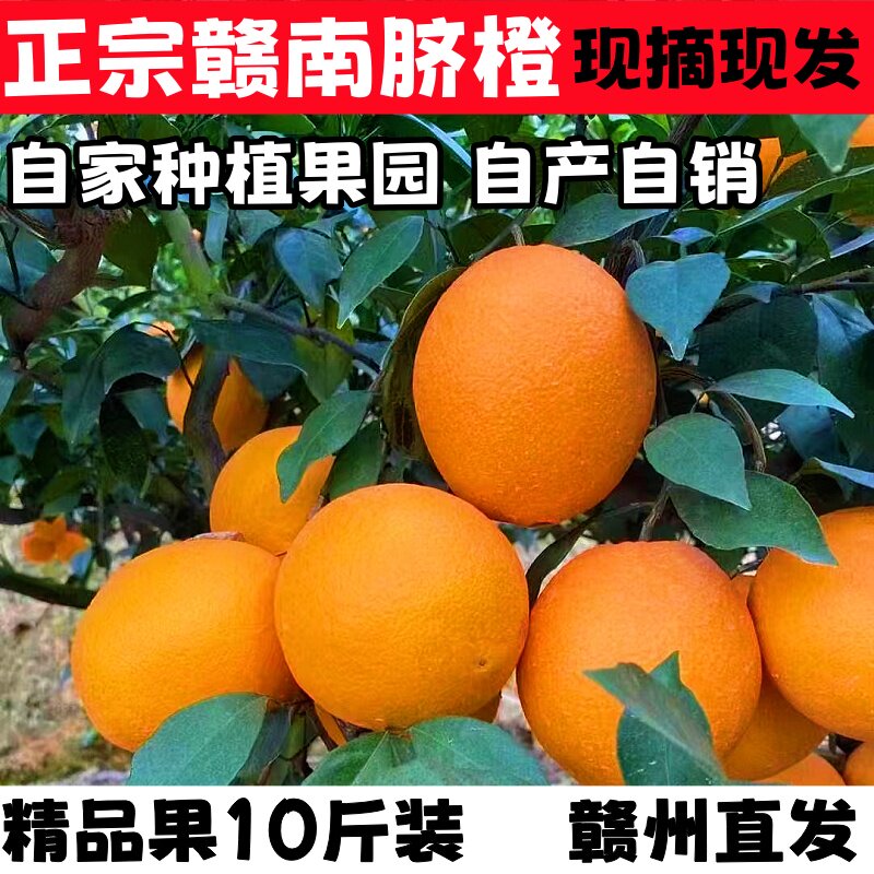 赣南脐橙正宗江西果农自产自销维C之王新鲜水果10斤装产地直发