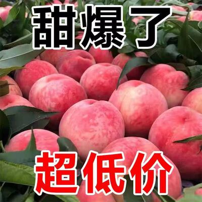 水蜜桃新鲜超甜现摘现发毛桃当季水果应季脆甜桃子整箱10斤包邮
