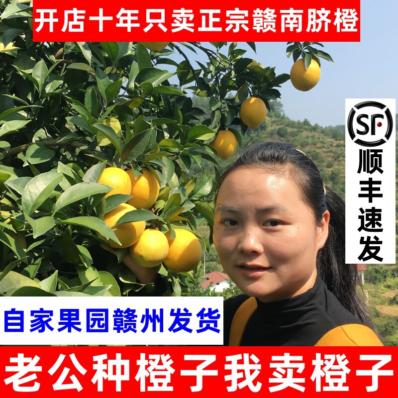 【顺丰】正宗江西赣南脐橙新鲜赣州橙子孕妇水果整箱10斤产地直发