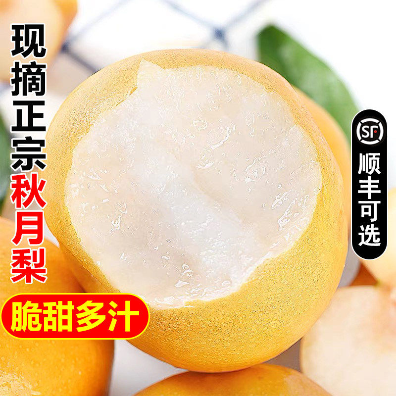 正宗秋月梨新鲜水果应当
