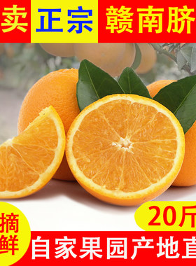 江西正宗赣南脐橙赣州寻乌甜橙子20装新鲜水果特级大果产地直发