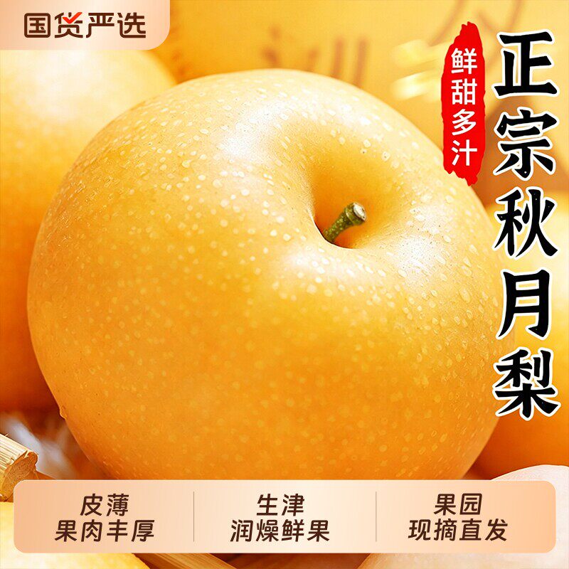 秋月梨新鲜梨子水果正宗