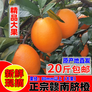 正宗赣南脐橙20斤大果江西赣州寻乌甜橙子应季孕妇新鲜水果手剥橙