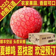 岭南古道荔枝白糖罂新鲜老树水果香甜顺丰包邮空运礼盒箱广东特产